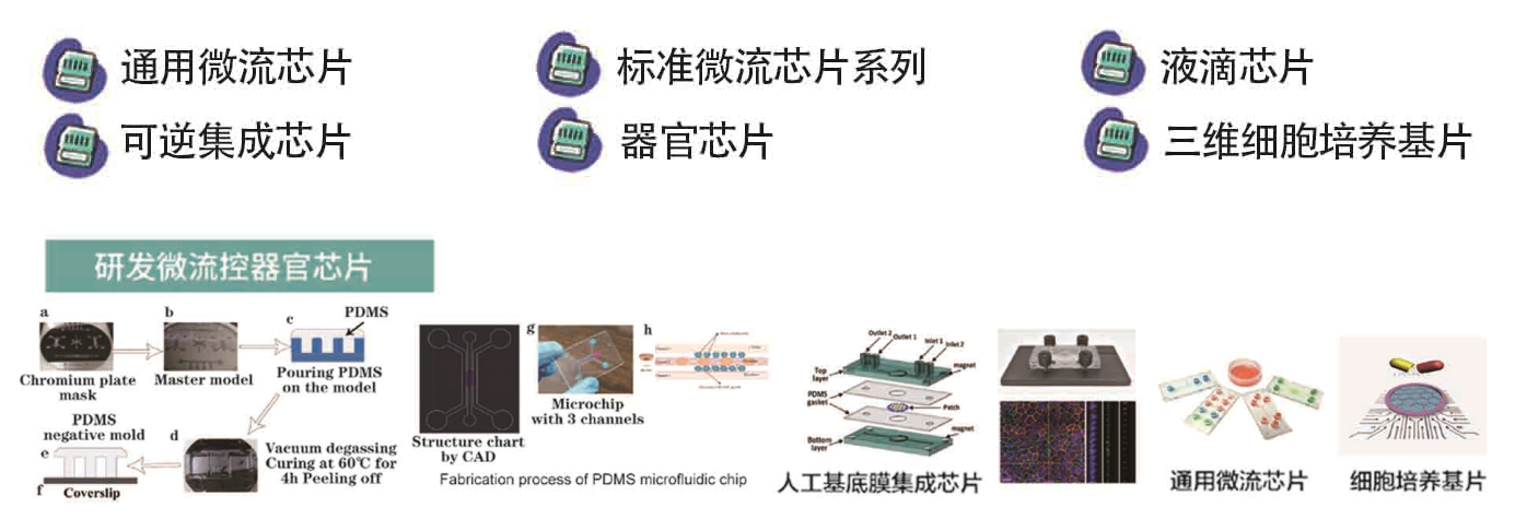 生物芯片拼图.jpg